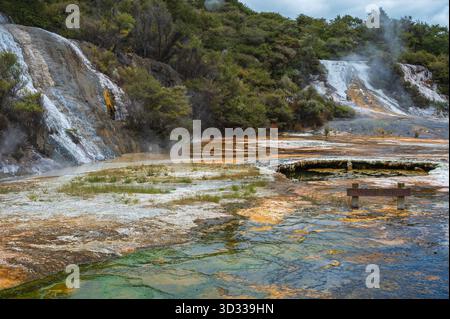 Terrazze e geyser di silice al Parco geotermico di Orakei Korako, Orakei Korako Road, Taupo, Isola del Nord, nuova Zelanda. Foto Stock