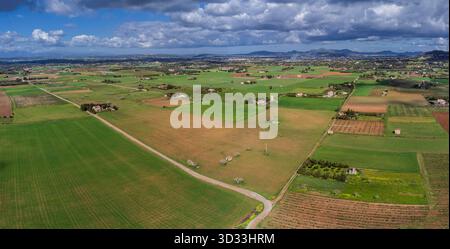 Es Pla de Llodrà Countryside, Manacor, Maiorca, Isole Baleari, Spagna Foto Stock