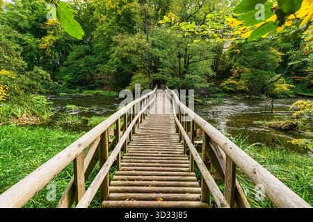 Paesaggio autunnale nella valle del Warnow vicino a Gross Görnow. Foto Stock