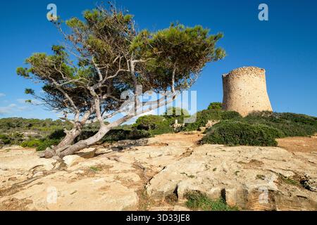 Torre di Cala Pi, sedicesimo secolo, utilizzato per difendere l'ingresso alla baia, Cala Pi, Maiorca, isole Baleari, Spagna, Europa Foto Stock