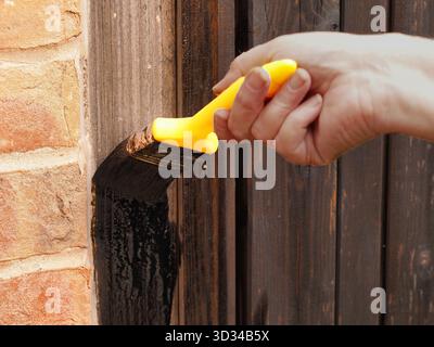 Mano della donna che tiene il pennello e il legno da verniciare Foto Stock