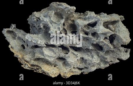 Basalto scoriaceo proveniente dall'Islanda, che mostra un'intricata rete di vescicole formate da gas vulcanici intrappolati durante l'eruzione. Foto Stock