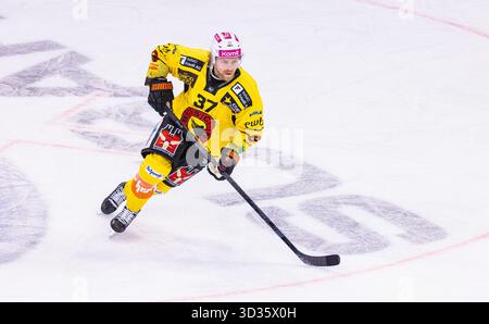 Zurigo, Svizzera, 3 ottobre 2025: #37 Anton Lindholm, difensore SC Bern. (Foto di Andreas Haas/dieBildmanufaktur) Foto Stock