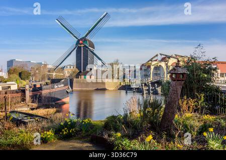 Vista sul canale della città con ponte levatoio e mulino a vento, la città di Leida, Paesi Bassi. Foto Stock