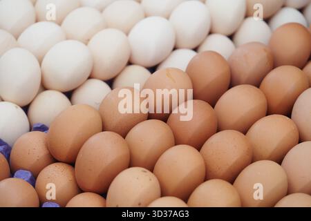 Varietà di uova esposte in un mercato per gli acquirenti Foto Stock