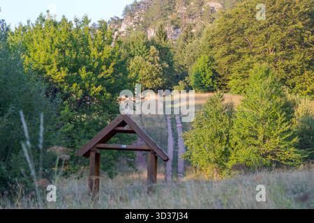 Tradizionale rifugio di montagna in Bosnia ed Erzegovina, circondato da una natura panoramica e da un paesaggio rurale, ideale per l'editoriale e i viaggi. Foto Stock
