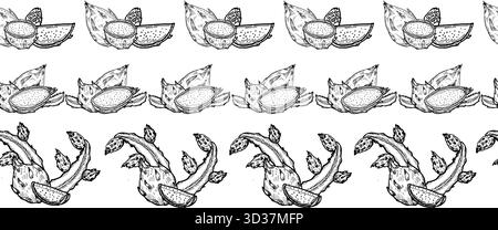 Set vintage Dragon Fruit Seamless Border. Decorativi di frutta tropicale con pitaya a fette. Delineare il design dei bordi degli alimenti con disegni a inchiostro illustrati Illustrazione Vettoriale