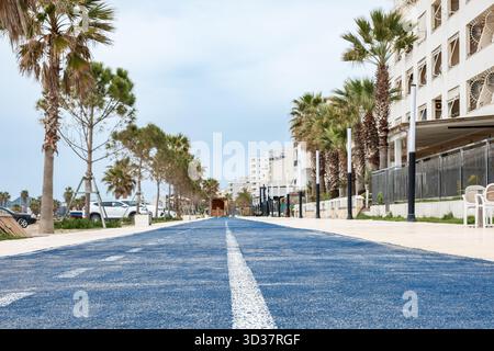 Pista parallela blu per biciclette e pista di gomma per passeggiate sportive e corsa in un parco cittadino. Pista di atletica in spiaggia, fitness, benessere Foto Stock
