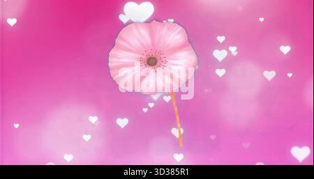 Fiori rosa stilizzati fluttuanti su sfondo sfumato rosa, con luci bokeh bianche a forma di cuore Foto Stock