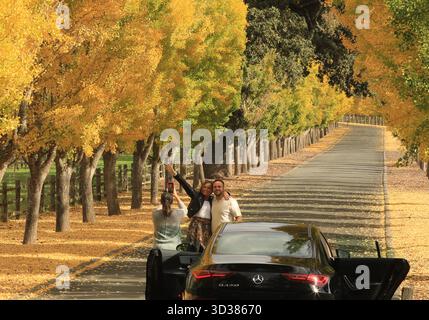 Napa Valley, Stati Uniti. 4 novembre 2025. I turisti posano per le foto di alberi di ginkgo nella Napa Valley in California, Stati Uniti, 4 novembre 2025. Crediti: Liu Yilin/Xinhua/Alamy Live News Foto Stock