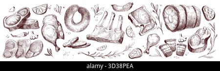 Collezione di schizzi di pezzi di carne cruda con illustrazione di vettoriali di cibo vintage. Fette trafilate a mano, bistecche, costolette e tagli di pollame - incisione di vari prodotti da macelleria con erbe aromatiche e condimenti. Illustrazione Vettoriale