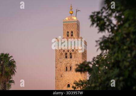 Marrakech, Koutoubia Moschee, Minarett. Minareto della Moschea di Koutoubia alla luce della sera, medina di Marrakech. Foto Stock