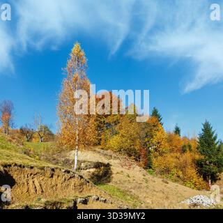 In Autunno le montagne dei Carpazi paesaggio con alberi multicolori sul pendio (Rakhiv distretto, Transcarpathia, Ucraina). Foto Stock