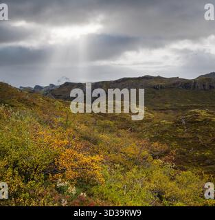 Splendida vista autunnale del canyon di Mulljufur Islanda. Non lontano dalla Ring Road e all'estremità sud della Vicnajokull icecap e del vulcano Oraefajokull. Foto Stock