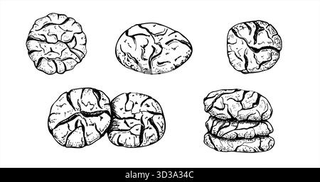 Immagine isolata vettoriale dei biscotti incrinati dipinta da inchiostri neri. Disegno monocromatico di biscotti tradizionali italiani, americani o marocchini. Illustrazione Vettoriale