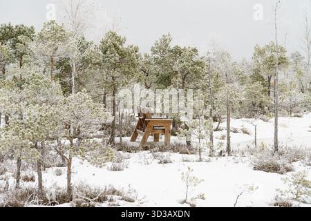 un tranquillo paesaggio invernale in una palude, caratterizzato da una passerella di legno che conduce oltre un pino ricoperto di gelo. la scena cattura il silenzio e il freddo Foto Stock