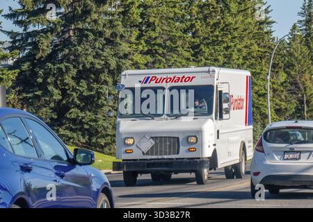Calgary, Alberta, Canada. 8 giugno 2025. Un furgone Purolator, marchiato in modo preminente, percorre una strada alberata a Calgary, a simboleggiare l'efficienza Foto Stock