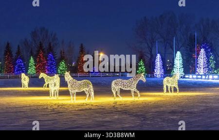 Calgary, Alberta, Canada. 28 dicembre 2024. Mostra di luci natalizie Winter Spruce Meadows Foto Stock