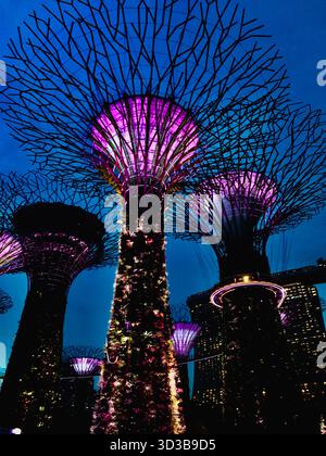Vista aerea dei Supertree che proiettano un bagliore luminoso contro il cielo crepuscolo nei giardini della baia di Singapore, Singapore. Foto Stock