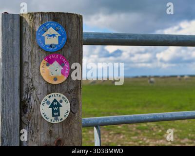 Wiltshire, Regno Unito - 12 settembre 2025: Primo piano di dischi segnaletici per Mid Wilts Way, Pewsey vale Circular e White Horse Trail su un cancello agricolo, con pascoli di pecore e nuvole spettacolari nel Wiltshire, Regno Unito Foto Stock