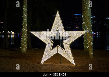 Una grande stella luminosa sorge tra le palme accanto ad un lago calmo di notte. Le luci natalizie, i riflessi e lo skyline creano una scena festosa del parco cittadino. Foto Stock