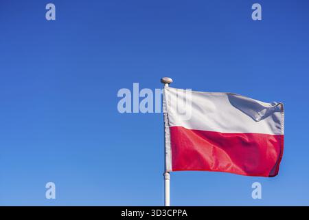 Un closeup della bandiera polacca su un flagpole sotto la luce del sole e un cielo blu Foto Stock