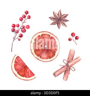 Set di acquerelli con fette di arancia secca (intere e metà), anice stellato, bacche rosse e bastoncini di cannella. Elementi isolati su sfondo bianco. Per progetti natalizi, inviti, artigianato natalizio. Foto Stock