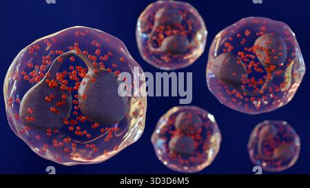 Una rappresentazione 3d degli eosinofili è un tipo di leucociti o leucociti. Foto Stock