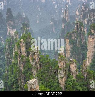 Colonne in pietra di Montagne Tianzi in Zhangjiajie National Park che è una famosa attrazione turistica, Wulingyuan, nella provincia del Hunan, Cina Foto Stock
