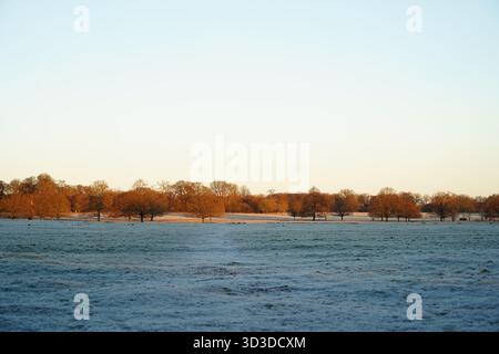 Un'alba ghiacciata nel Richmond Park di Londra Foto Stock