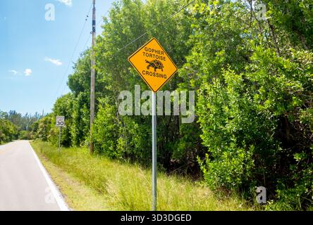 Un segnale di avvertimento a bordo strada per proteggere le tartarughe Gopher (Gopherus polyphemus) a Sanibel Island, Florida Foto Stock