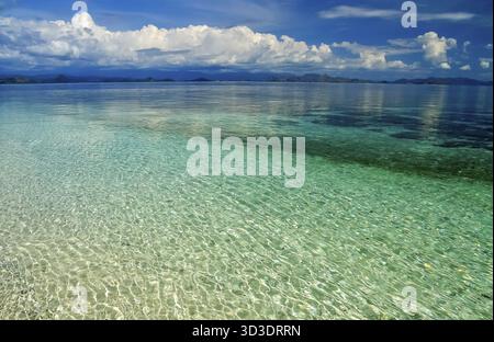 Mare cristallino al largo della costa sull isola di Flores in Indonesia Foto Stock