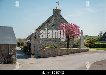 Affascinante strada nel pittoresco villaggio di Menerbes con edifici colorati e fiori vivaci Foto Stock