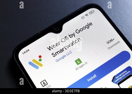 24 ottobre 2024, Portogallo. In questa immagine, il logo dell'app Wear OS by Google viene visualizzato sullo schermo di uno smartphone Foto Stock