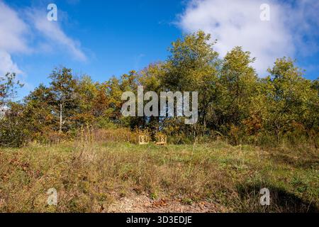 Scene autunnali sui sentieri dell'autostrada 311, tra cui l'Appalachian Trail nella contea di Roanoke, Virginia Foto Stock