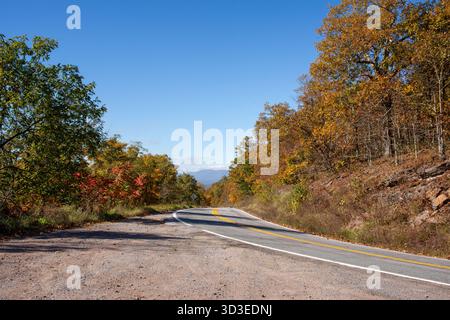 Scene autunnali sui sentieri dell'autostrada 311, tra cui l'Appalachian Trail nella contea di Roanoke, Virginia Foto Stock