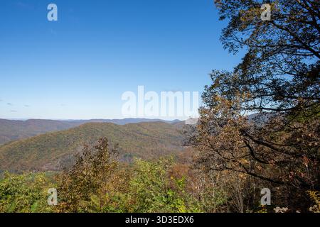 Scene autunnali sui sentieri dell'autostrada 311, tra cui l'Appalachian Trail nella contea di Roanoke, Virginia Foto Stock