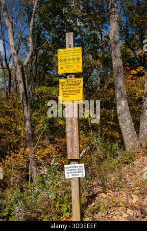 Scene autunnali sui sentieri dell'autostrada 311, tra cui l'Appalachian Trail nella contea di Roanoke, Virginia Foto Stock