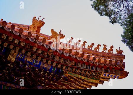 Primo piano delle statuette dei guardiani del tetto nella città Proibita di Pechino Foto Stock