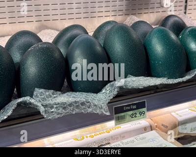Uova dell'UEM. Diverse grandi uova verdi scure sono esposte in vendita su uno scaffale del supermercato, parzialmente confezionate in un involucro protettivo a bolle d'aria, con un cartellino di prezzo Foto Stock