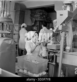 Una foto d'archivio degli anni '1970 mostra la stanza sul retro di un negozio di alimentari nel microdistretto di Cherevkovka, Sloviansk, RSS Ucraina. Una dipendente donna, che indossa un cappotto bianco e un velo, gestisce una macchina per il confezionamento. Utilizza una paletta per distribuire prodotti sfusi (ad esempio, semole o zucchero) da una tramoggia in sacchetti di carta, che si trovano in una vasca di plastica sottostante. In background, altri membri del personale lavorano e grandi sacchi sono impilati in alto. Questa scena cattura il processo di preconfezionamento in un tipico negozio sovietico. Questo è un momento di lavoro quotidiano nel pacifico Donbas prima della guerra. Foto Stock