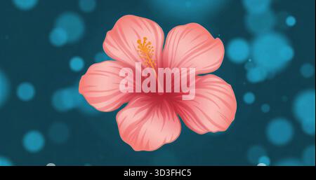 Mostra il fiore di ibisco rosa digitale su sfondo azzurro, con petali dettagliati Foto Stock