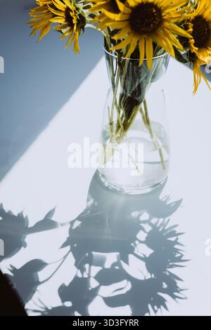 Il sole del mattino proietta ombre di girasoli disposti in un vaso di vetro trasparente sul davanzale. Il piano bianco esalta la bellezza naturale e. Foto Stock