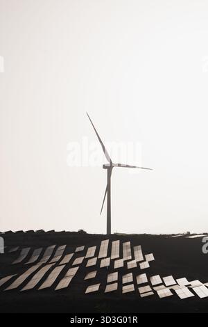 Una turbina eolica si erge in mezzo a un campo di pannelli solari, mostrando una miscela armoniosa di soluzioni energetiche sostenibili. Questa immagine rappresenta renewa Foto Stock