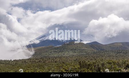 Il maestoso vulcano Cotopaxi si erge su un lussureggiante paesaggio verde, parzialmente avvolto da nuvole, che rappresenta la splendida bellezza naturale dell'Ecuador. T Foto Stock