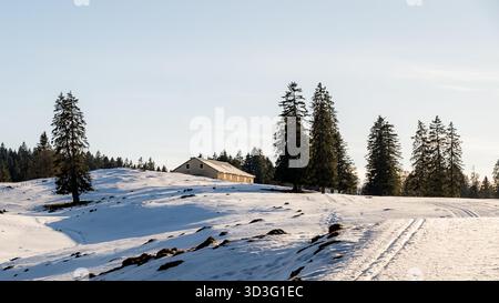 Un tranquillo scenario invernale nella regione svizzera del Giura, caratterizzato da un paesaggio illuminato dal sole con un campo innevato, alberi sempreverdi e un lontano struc Foto Stock