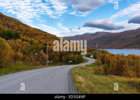 Splendidi colori autunnali a Kvaløya, comune di Troms in Norvegia. Paesaggio autunnale norvegese. Copia spazio Foto Stock