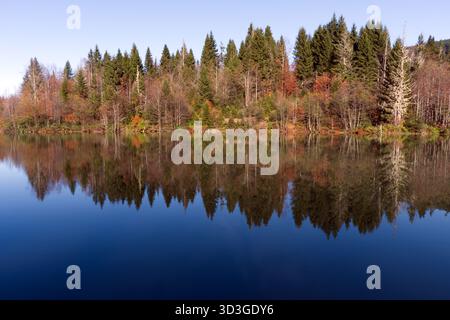 Autunno Lago riflessione con la vibrante Foresta Un tranquillo paesaggio autunnale caratterizzato da un lago calmo con riflessi cristallini Foto Stock
