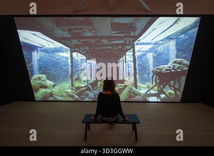 Saatchi Gallery, Londra, Regno Unito. 4 novembre 2025. Celebrando i quarant'anni di arte contemporanea e creatività all'avanguardia, The Long Now è un'ampia mostra collettiva con opere iconiche e nuove di artisti strettamente associati alla storia dinamica della Saatchi Gallery, che si estende su due piani e nove grandi spazi espositivi. Foto Stock