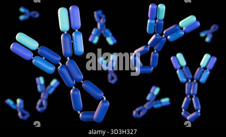 Una rappresentazione 3d dell'immunoglobulina e o IgE esiste come una singola molecola a forma di Y. Il ruolo è quello di mediare le reazioni allergiche. Foto Stock